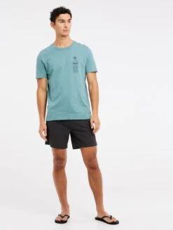 Protest Poloshirt PRTRHODAS T-shirt ARCTICGREEN -Next Shop 6f2f0eb0 f9eb 5ed8 a2dd 39102dd7c917