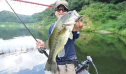 Fish Arrow Free Rig Sinker Tungsten -Next Shop FA 4573251342053r 5