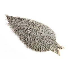 Whiting Coq De Leon Cape -Next Shop Whiting 20 20Coq 20de 20leon 20Grizzly