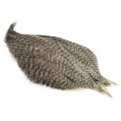 Whiting Coq De Leon Cape -Next Shop Whiting 20 20Coq 20de 20leon 20Grizzly 20varr