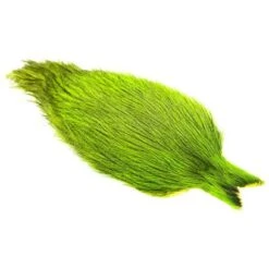 Whiting Coq De Leon Cape -Next Shop Whiting 20rooster 20 20Coq 20de 20leon 20Badger 20 20Chartreuse