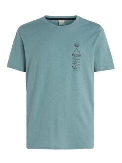 Protest Poloshirt PRTRHODAS T-shirt ARCTICGREEN