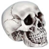 Beiger, Realistischer Totenkopf -Next Shop halloween totenschaedel halloween totenkopf halloween deko realistic skull 21539 01