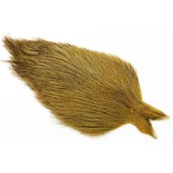 Whiting Coq De Leon Cape -Next Shop img 7840