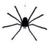 Auf- & Abseilende Riesenspinne -Next Shop sich abseilende riesenspinne giant floating spider 39561 01