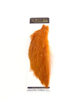 Whiting 1/2 Rooster Cape -Next Shop whiting half cape orange
